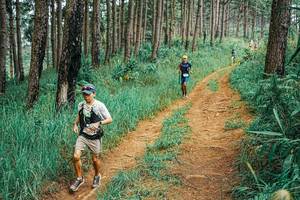 BIB: 
                            <button type="button" onclick="openModal(25654279)" class="btn btn-primary btn-sm float-right btn-popup" data-toggle="modal" data-target=".modal-high-quality">
                        <i class="fas fa-shopping-cart"></i> Add to Cart
                    </button>
                                            <button type="button" onclick="isThisMe(25654279, true)" class="btn btn-success btn-sm float-right btn-popup btn-isme hidden" data-toggle="tooltip" data-placement="bottom" title="นี่คือรูปของคุณใช่ไหม คลิกที่นี่เพื่อเอาเข้าอัลบั้ม">
                        <i class="fas fa-plus"></i> Add to album
                    </button>
                    <button type="button" onclick="isThisMe(25654279, false)" class="btn btn-warning btn-sm float-right btn-popup btn-isnotme hidden">
                        <i class="fas fa-ban"></i> Remove from album
                    </button>